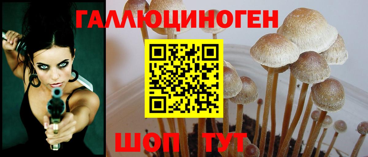 Усть-Илимск  Псилоцибиновые грибы Magic Shrooms  сколько стоит  Вход с VPN 